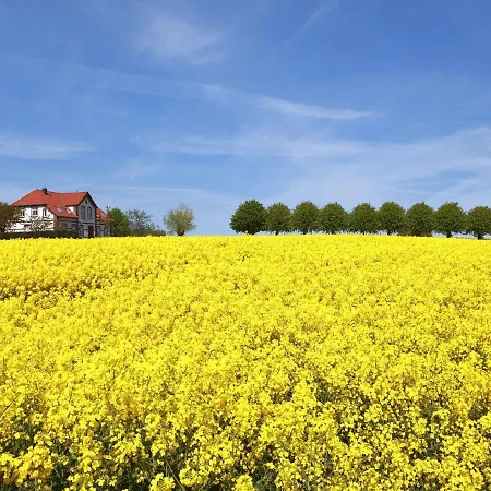 Gollwitzer Park - Insel Poel-3 By Interhome Lejlighed Gollwitz