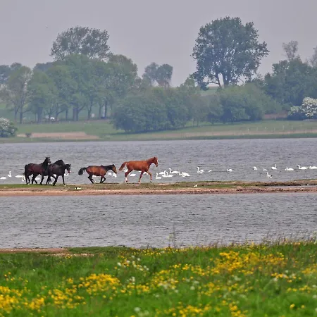 Daire Gollwitzer Park - Insel Poel-3 By Interhome Gollwitz